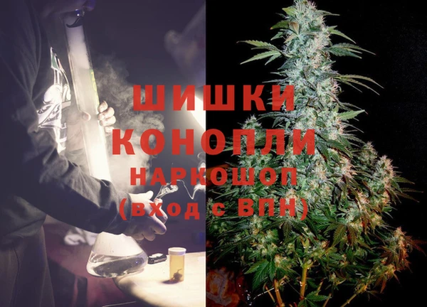 сатива Лабытнанги
