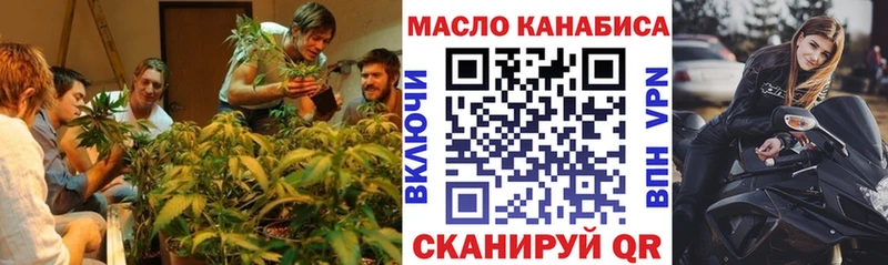 Купить где  Александровское  ТГК гашишное масло 