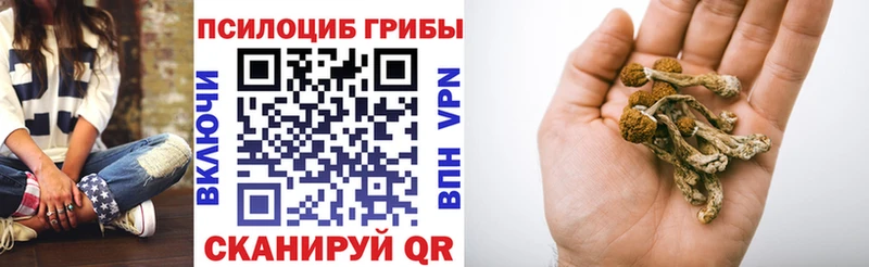 Галлюциногенные грибы мухоморы  Купить где  Александровское 